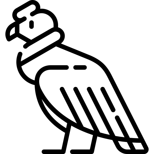 Cóndor